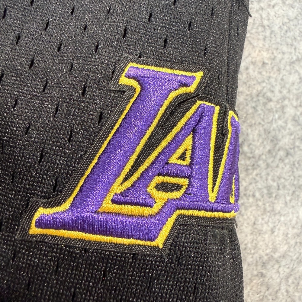 Pro Standard Los Angeles Lakers City Scape Sunset Mesh Shorts Large Heavyweight - Picture 3 of 16